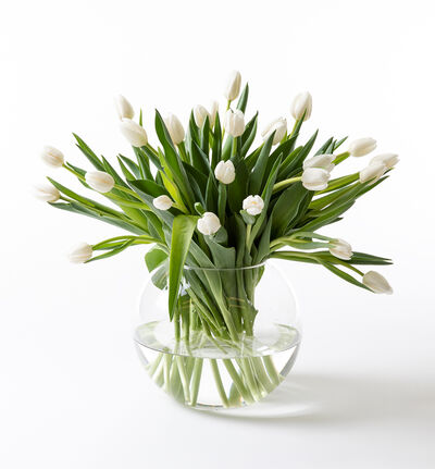 Hvit tulipanbukett stor